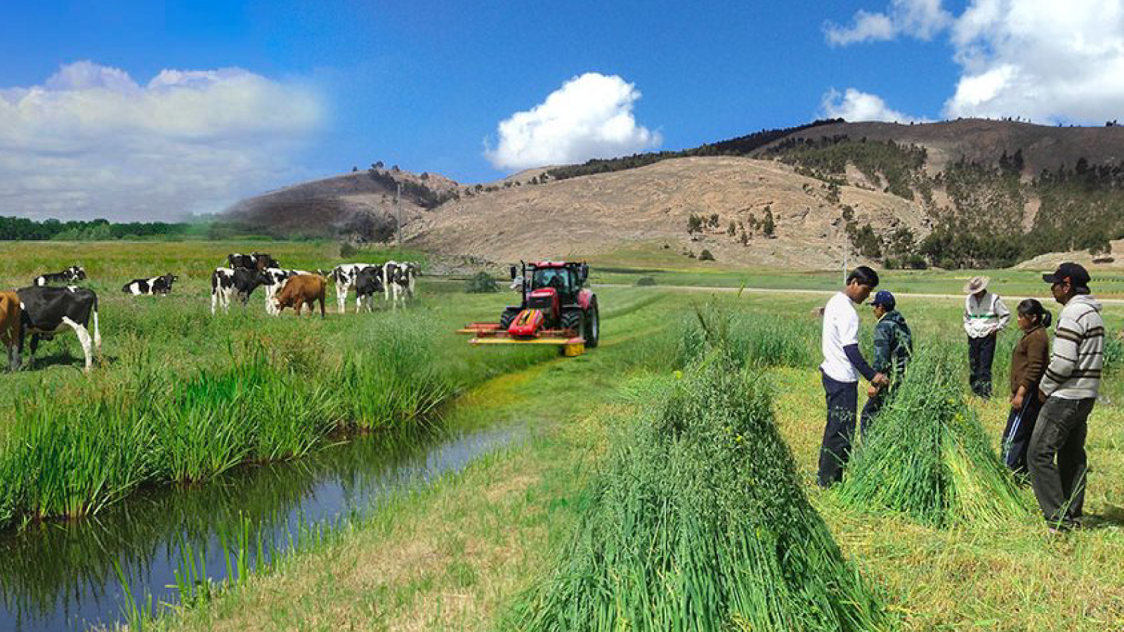 Producción agropecuaria